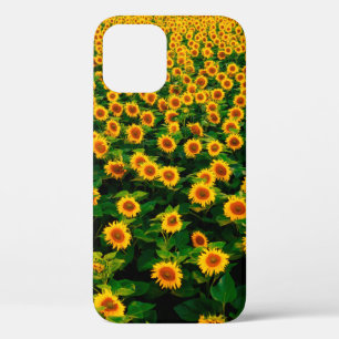 Funda Para iPhone 12 Campo con girasoles amarillos brillantes en días s