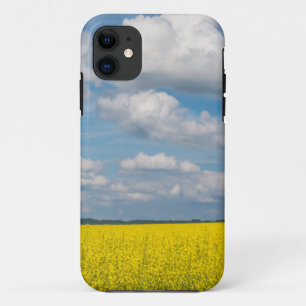 title_seo2 Campo de Canola y Nubes