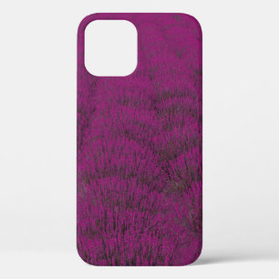 Funda Para iPhone 12 Campo de flores rosadas con cáscara