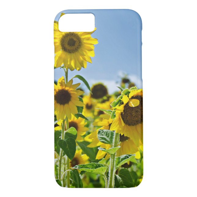 Funda De Case-Mate Para iPhone campo de girasol (Reverso)