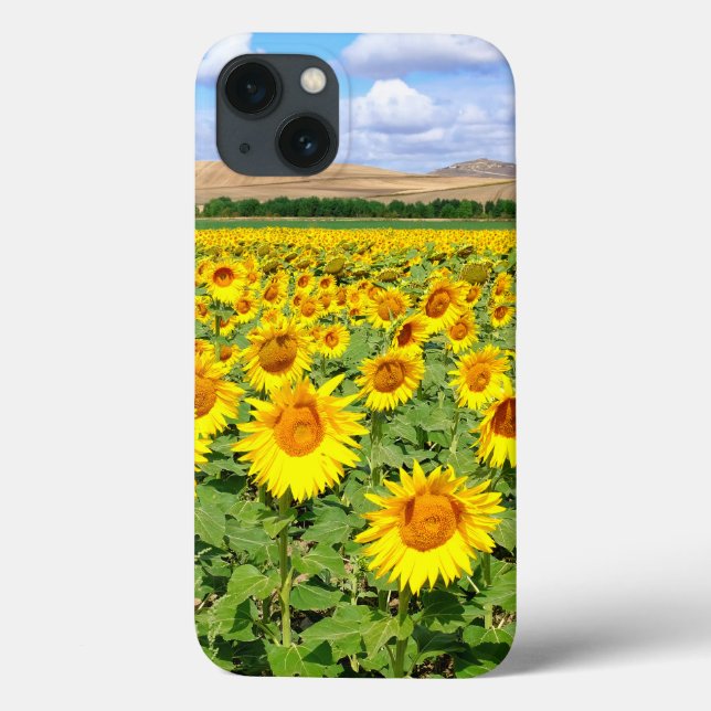 Funda De Case-Mate Para iPhone Campo de girasol (Reverso)