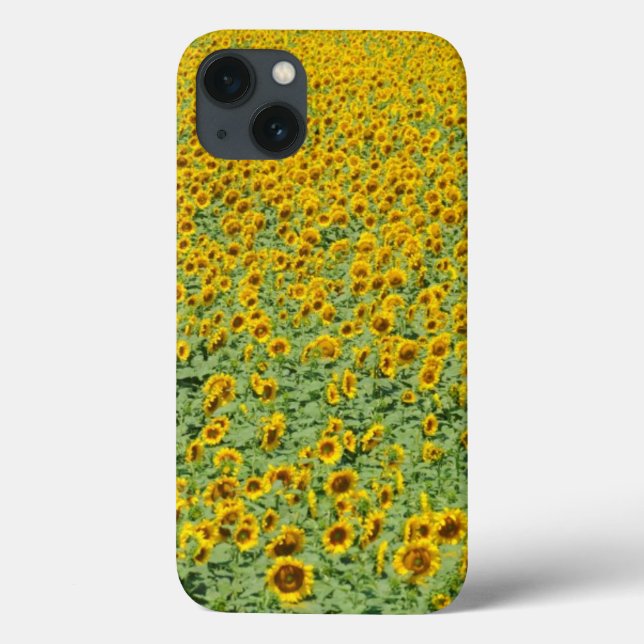Funda De Case-Mate Para iPhone Campo de girasol amarillo (Reverso)