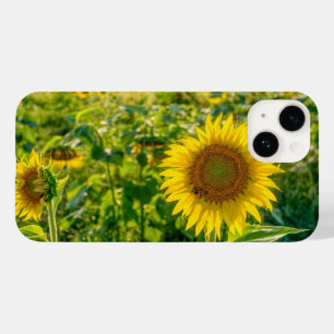 Funda Para iPhone 14 De Case-Mate Campo de girasol dorado