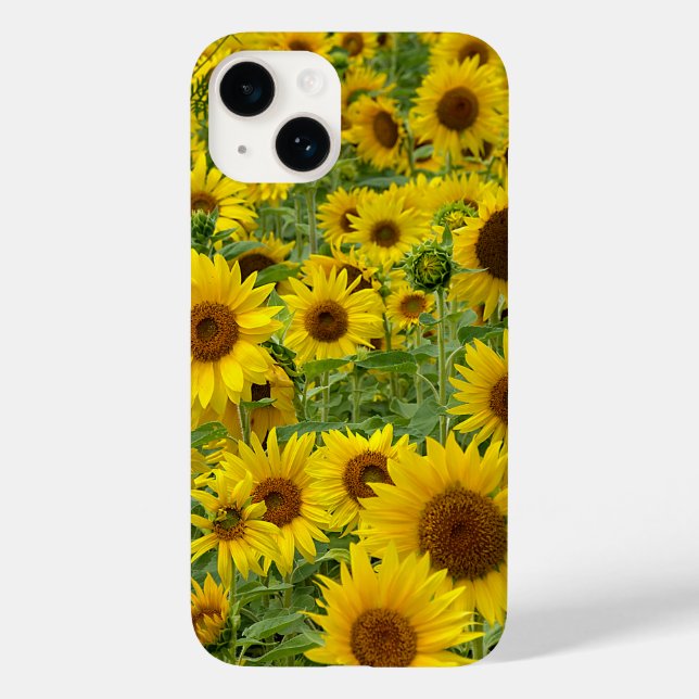 Funda De Case-Mate Para iPhone Campo de girasoles amarillos (Reverso )
