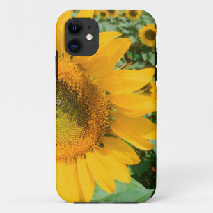 Funda Para iPhone 11 Campo de girasoles. Distrito de Heidleberg