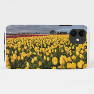 Funda Para iPhone 11 Campo de tulipanes amarillos y rojos, Oregón