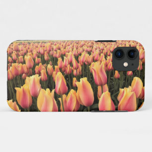 Funda Para iPhone 11 Campo de tulipanes amarillos y rosados, Oregón