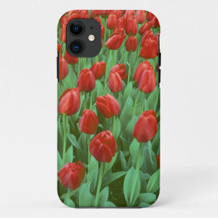 Funda Para iPhone 11 Campo de tulipanes florece en primavera.