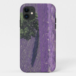 Funda Para iPhone 11 Campos de Europa, Francia, Provenza, Sault y Laven