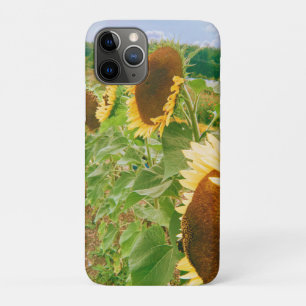 Funda Para iPhone 11 Pro Campos de girasol
