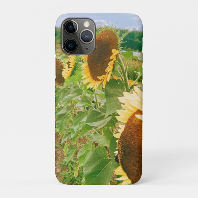 Funda De Case-Mate Para iPhone Campos de girasol (Reverso)