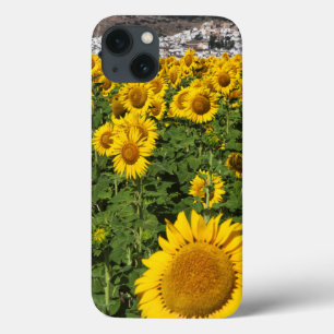 Funda Para iPhone 13 Campos de girasol, ciudad de Bornos, en una colina
