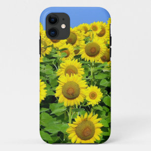 Funda Para iPhone 11 Campos del girasol