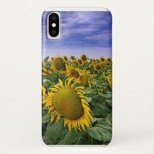 Funda Para iPhone X Campos del girasol de California