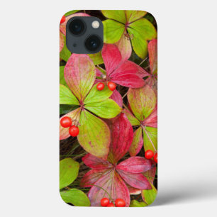 Funda Para iPhone 13 Canadá, Columbia Británica, Monte Robson