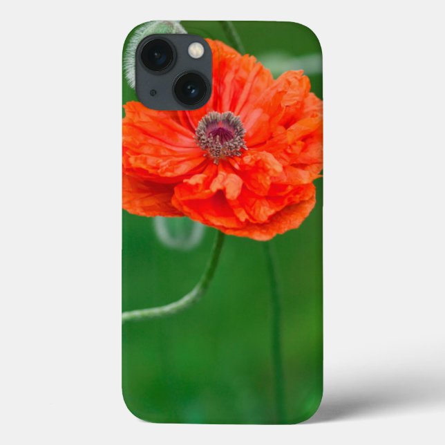 Funda De Case-Mate Para iPhone Canadá, Nuevo Brunswick, , (Reverso)