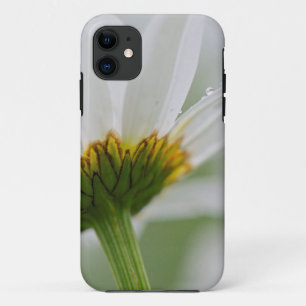 Funda Para iPhone 11 Canadá, Nuevo Brunswick,
