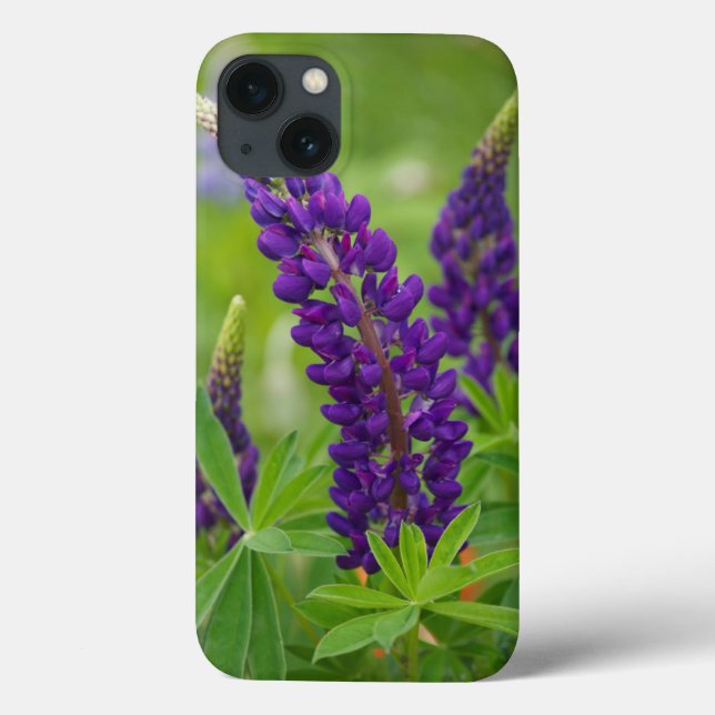 Funda De Case-Mate Para iPhone Canadá, Nuevo Brunswick, . (Reverso)