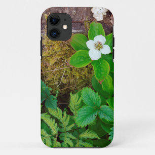 Funda Para iPhone 11 Canadá, Nuevo Brunswick, , 2