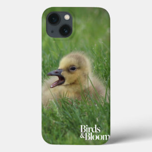 Funda Para iPhone 13 Canadian Goose Chick