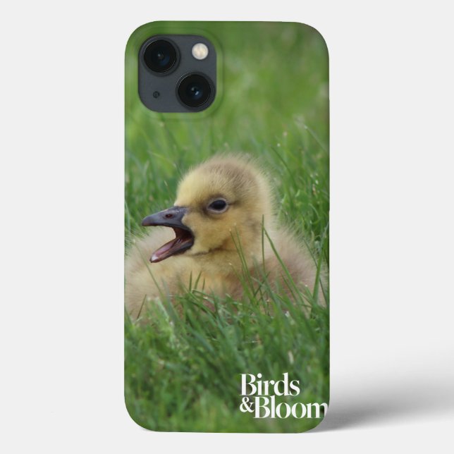 Funda De Case-Mate Para iPhone Canadian Goose Chick (Reverso)