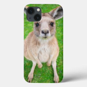Funda Para iPhone 13 Canguro del bebé de las imágenes el   de Getty