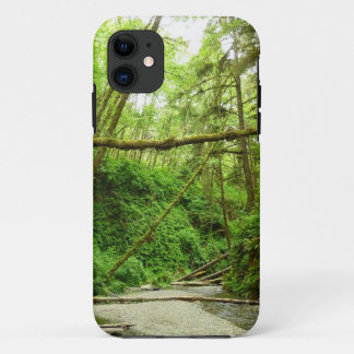 Funda Para iPhone 11 Cañón Fern I en el Parque Nacional Redwood