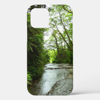 Funda Para iPhone 12 Cañón Fern II en el Parque Nacional Redwood