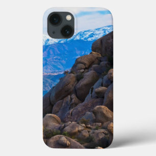 Funda Para iPhone 13 Cantos rodados y montañas