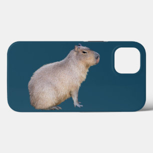 Funda Para iPhone 13 Capibara