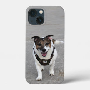 Funda Para iPhone 13 Mini Capo von Oppenheim, Jack Russell Terrier Dog