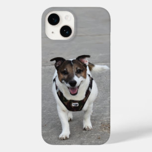 Funda Para iPhone 14 De Case-Mate Capo von Oppenheim, Jack Russell Terrier Dog