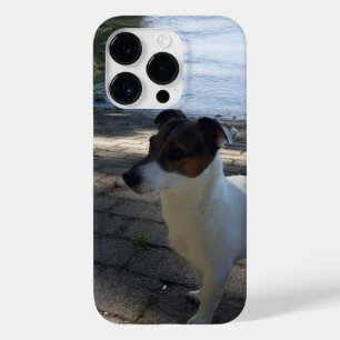 Funda Para iPhone 14 Pro De Case-Mate Capo von Oppenheim, Jack Russell Terrier Dog