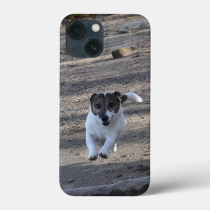 Funda Para iPhone 13 Mini Capo von Oppenheim, Jack Russell Terrier Dog