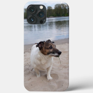 Funda Para iPhone 13 Pro Max Capo von Oppenheim, Jack Russell Terrier Dog