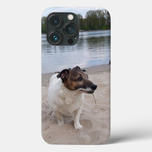 Funda Para iPhone 13 Pro Capo von Oppenheim, Jack Russell Terrier Dog