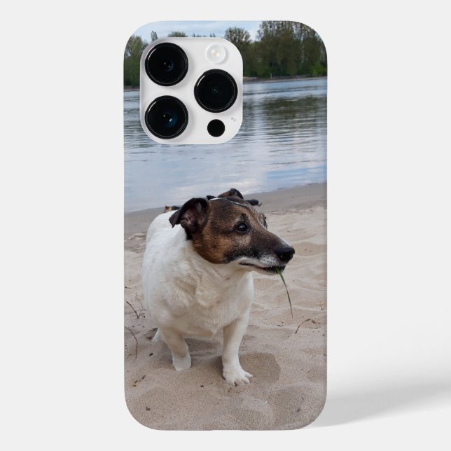 Funda De Case-Mate Para iPhone Capo von Oppenheim, Jack Russell Terrier Dog (Reverso )