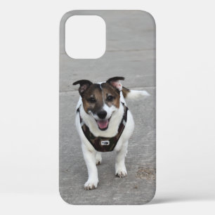 Funda Para iPhone 12 Capo von Oppenheim, Jack Russell Terrier Dog