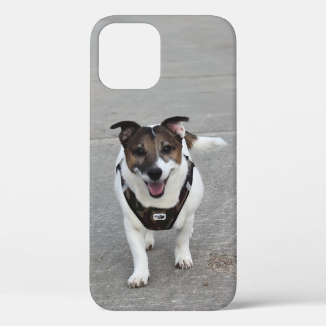Funda De Case-Mate Para iPhone Capo von Oppenheim, Jack Russell Terrier Dog (Reverso )