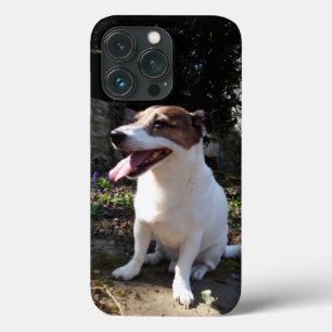 Funda Para iPhone 13 Pro Capo von Oppenheim Jack Russell Terrier, Perro