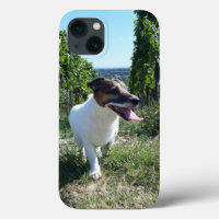 Capo von Oppenheim Jack Russell Terrier, Perro