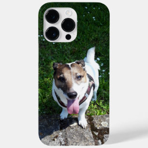 Funda Para iPhone 14 Pro Max De Case-Mate Capo von Oppenheim Jack Russell Terrier, Perro