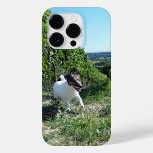 Funda Para iPhone 14 Pro De Case-Mate Capo von Oppenheim Jack Russell Terrier, Perro