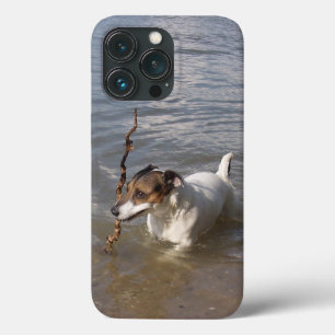 Funda Para iPhone 13 Pro Capo von Oppenheim Jack Russell Terrier, Perro