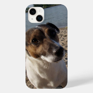 Funda Para iPhone 14 Plus De Case-Mate Capo von Oppenheim Jack Russell Terrier, Perro