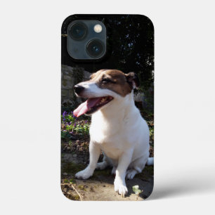 Funda Para iPhone 13 Mini Capo von Oppenheim Jack Russell Terrier, Perro