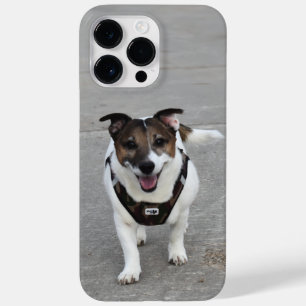 Funda Para iPhone 14 Pro Max De Case-Mate Capo von Oppenheim, perro Terrier Jack Russell