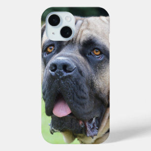 Funda Para iPhone 15 Cara Bullmastiff