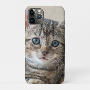 Funda Para iPhone 11 Pro Cara de gato suave