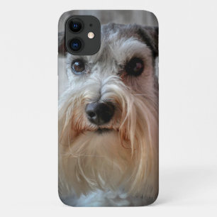 Funda Para iPhone 11 Cara del perro Schnauzer
